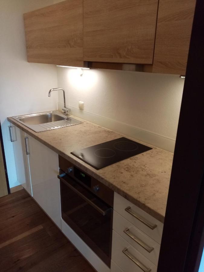 Apartment Sandra Bad Goisern Εξωτερικό φωτογραφία